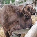 ���� �����, �������� - ��������� 16 ������ 2025 � ������ ������ ��������