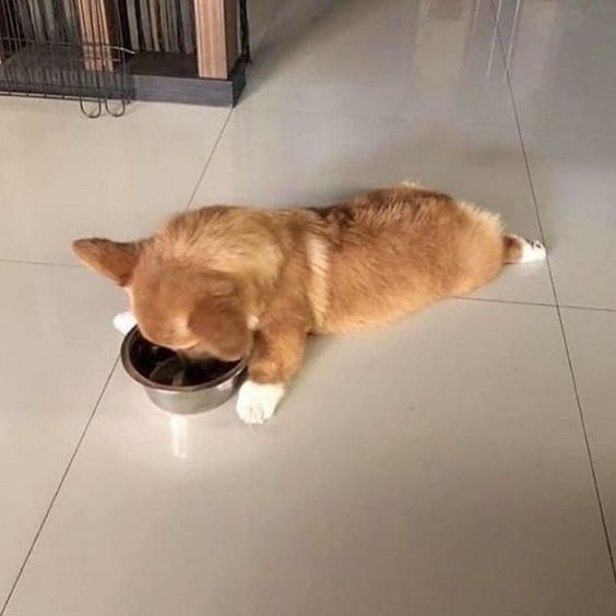 �� ��� ������ ���