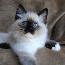 ���� ������, ���������, 63 ���� - ��������� 31 ���� 2025 � ������ ���� ����������