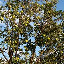 ���� �����, �������� - ��������� 26 ���� 2025 � ������ ������� 2025�