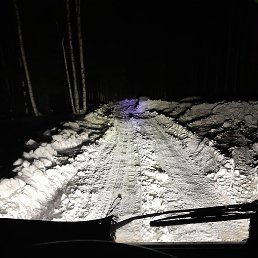 ������, �����������, 39 ���