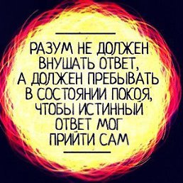  Andrei, , 40  -  24  2025