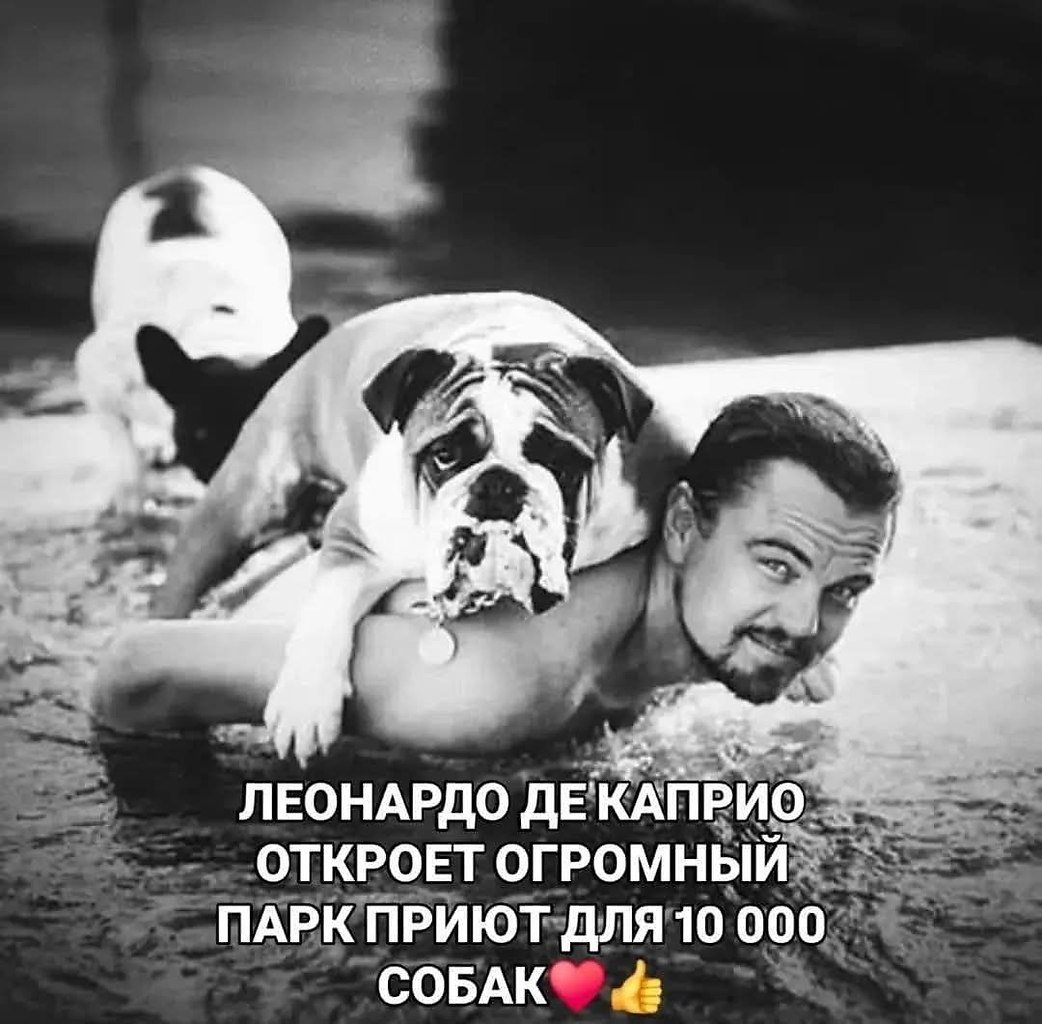 :) Леонардо Ди Каприо потряс мир важным заявлением: он запускает новаторский проект по спасению 10 ...