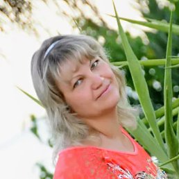 �����, ����, 49 ���