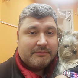 �����, ������, 50 ���