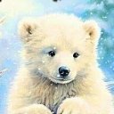 ���� ���������, ��������, 28 ��� - ��������� 28 ������ 2024