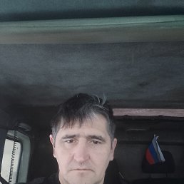 ������, 46 ���, ������