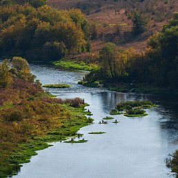 ��������, ���������