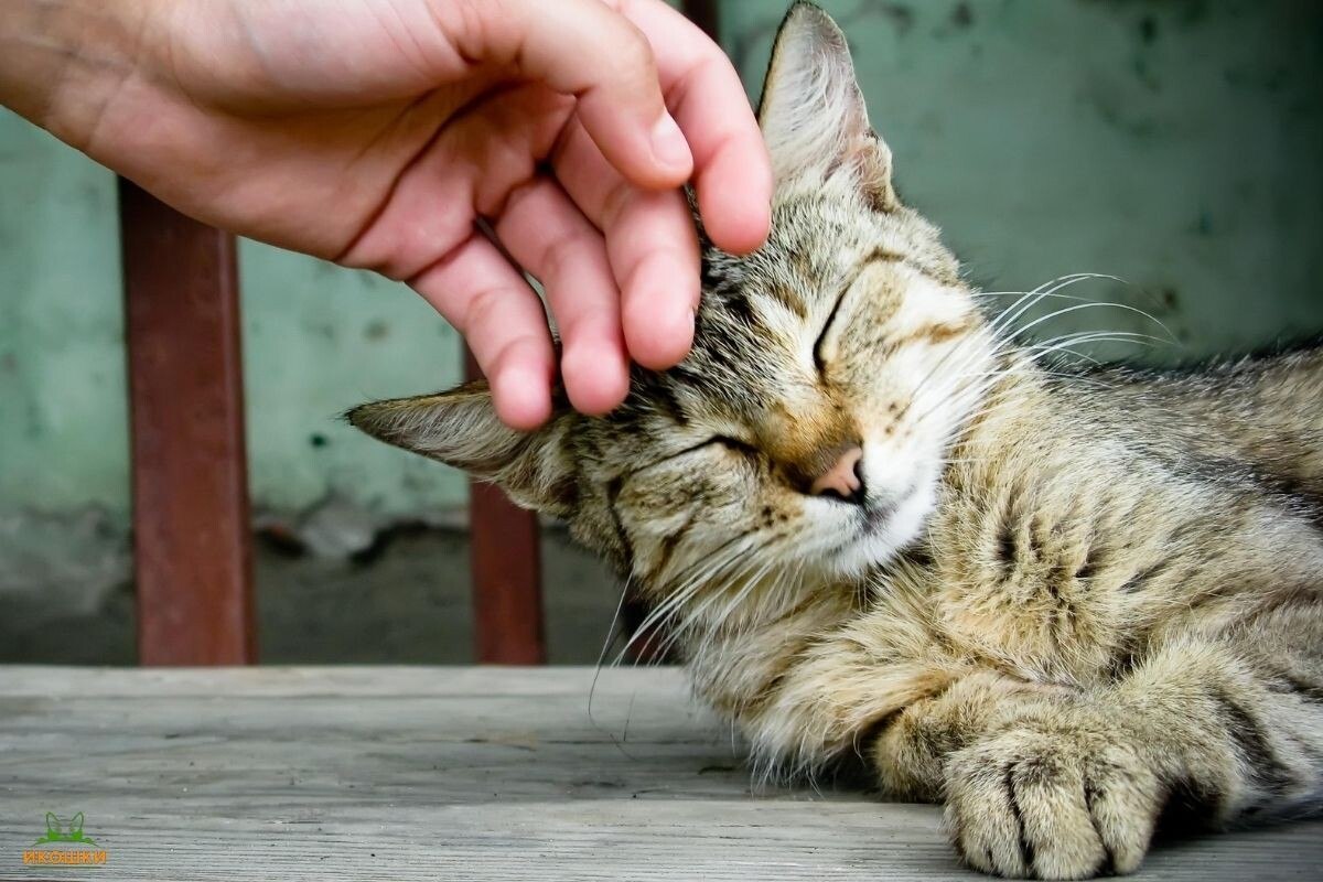 ОБО ВСЕМ - 26 сентября 2025 в 17:12