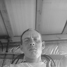 , 32 , 