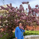 ���� ����, ��������� - ��������� 25 ����� 2026