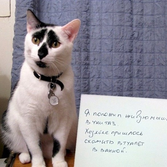 Понять и простить. - 3