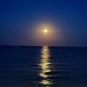 ���� �����, �������� - ��������� 15 ������� 2025 � ������ ���� ����������