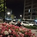 ���� ������, ������, 63 ���� - ��������� 20 ������� 2025