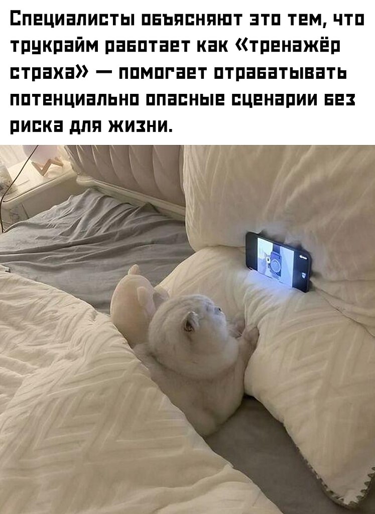 ,       ,     : ... - 2