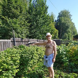 ����, ������, 65 ���