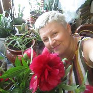 ������, 58 ���, ���������