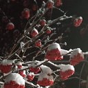 ���� ����� ������������, ����� - ��������� 30 ������� 2023 � ������ ���� ����������