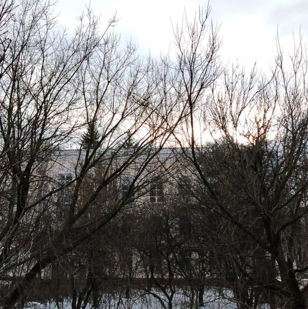 21 �������-������ �������������