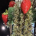 ���� ����, ������ ��������, 59 ��� - ��������� 21 ������� 2025