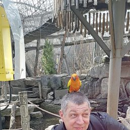 �����, 41 ���, ������-��-����