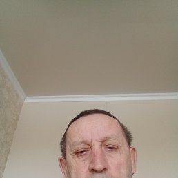 , 65, 