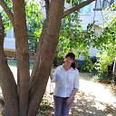 ���� ����, ���� - ��������� 19 ���� 2024