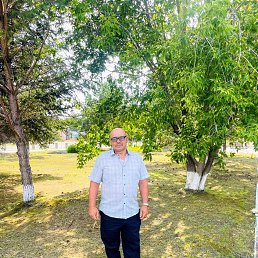 �����, 56 ���, ������������