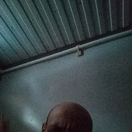 ������� ���������, ������, 46 ���