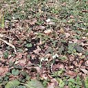 ���� ������, ���������� - ��������� 15 ������� 2026 � ������ ������ ��������