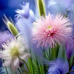 ���� ���������, ������, 64 ���� - ��������� 9 ������ 2026