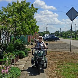 �����, ���������, 65 ���