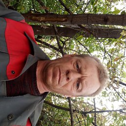 ������, ������, 50 ���