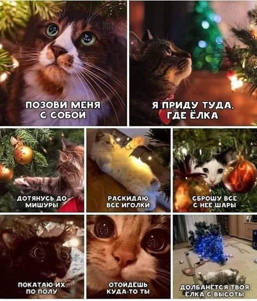 � ����� ���� � �����.������� ������ ���� ����.��������� � �������������, �������� � ������..�������� ...