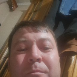 , 37 , 
