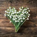 ���� ���� Mit Liebe ������ 125��, ������� - ��������� 22 ������� 2026