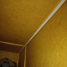 ����, ������, 39 ���