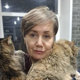 ������, ���������, 58 ���