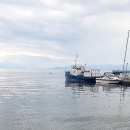 ����, ������, 36 ���