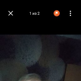 , 54, 