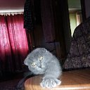 ���� �, ���������, 50 ��� - ��������� 27 ������� 2023 � ������ ���� ����������