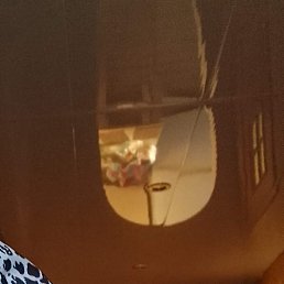 �����, �����������, 61 ���