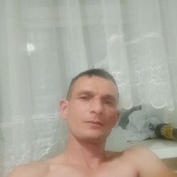 , 37, 