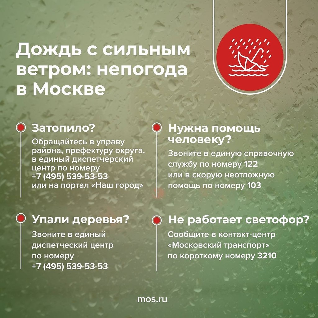 � ������ ��������� ���������� ����� � �������� �� 17 �/�, ����� � ������� ����. ������ ����������� � ...