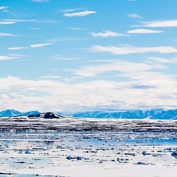 ���� �����, ������, 56 ��� - ��������� 5 ������� 2024