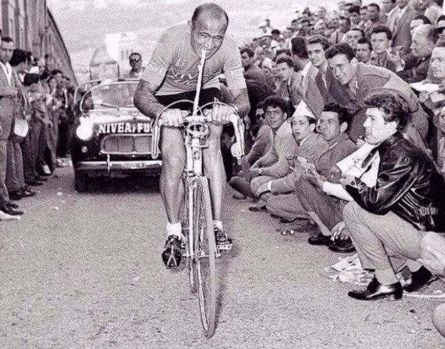  : ,      . 1956     ...