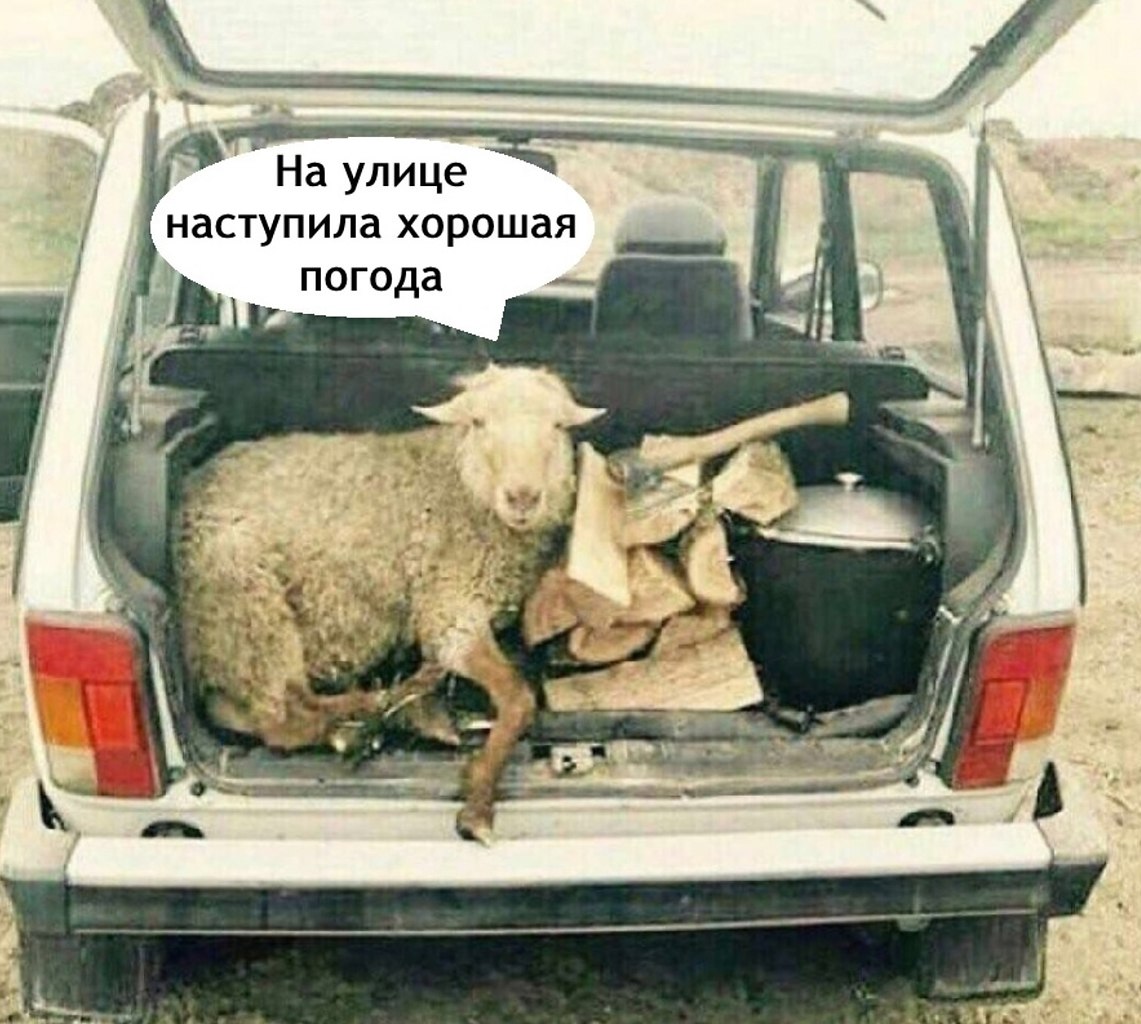   ,    ..