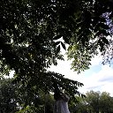 ���� ����, ����� - ��������� 10 ������ 2026 � ������ ���� ����������