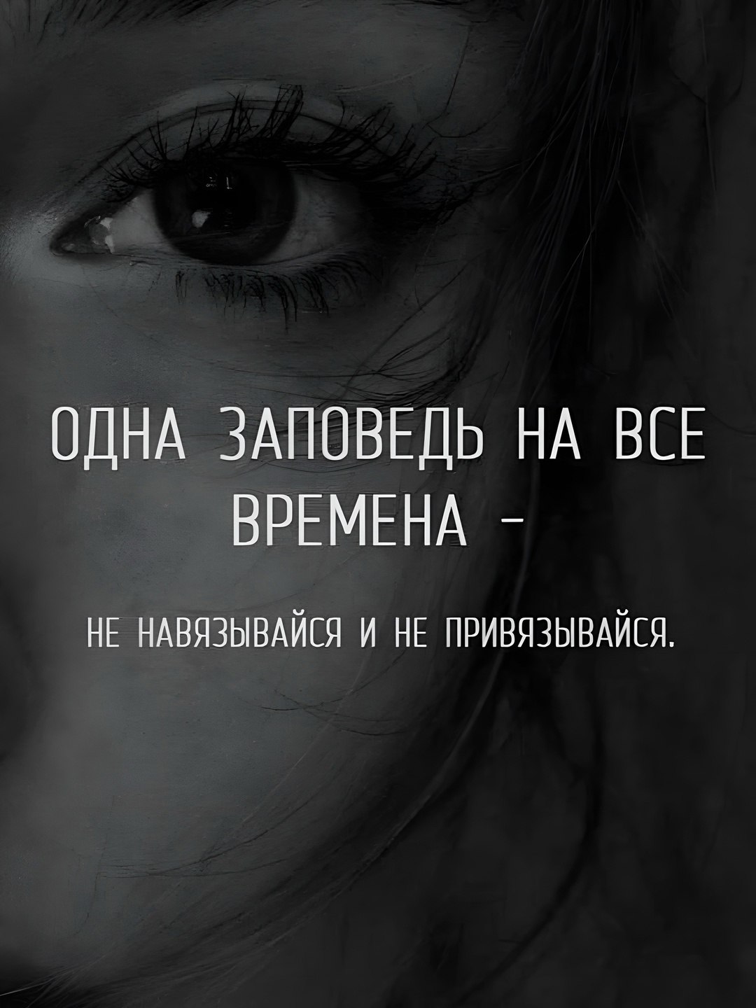  - 24  2025  03:50