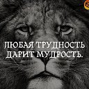 ���� �������, �������, 41 ��� - ��������� 7 ������ 2024 � ������ ������ ��������